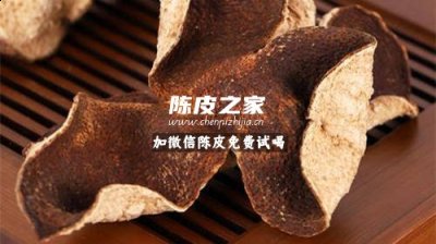 五年陳皮價格多少錢一斤