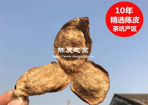 老人可以食用10年陳皮嗎