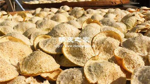 新會陳皮每年要曬嗎