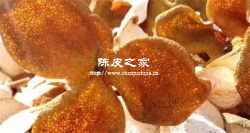 茯苓白扁豆陳皮可以同吃嗎