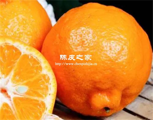 耙耙柑的皮可以曬干做陳皮嗎