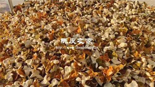 陳皮5年以后要經常曬嗎