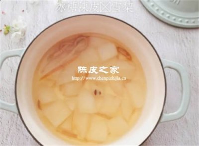 梨和冰糖一起燉止咳要放陳皮嗎?能治咳嗽嗎