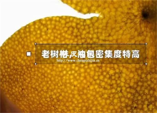 新會陳皮油包是什么樣子的?油包起什么作用