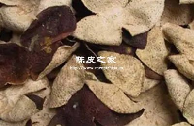 廣陳皮和新會(huì)陳皮一樣嗎