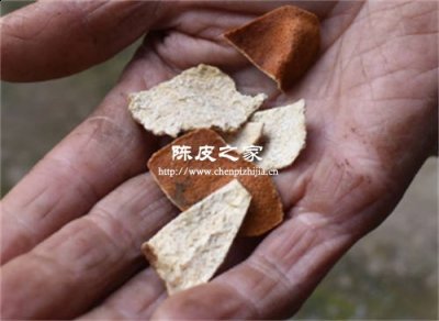 陳皮是碎的好還是整張的好