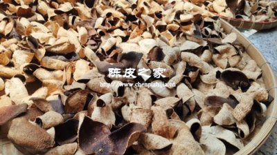 玫瑰花烏梅桑甚陳皮茯苓泡水喝的功效