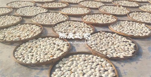 新會陳皮是生曬還是熟曬