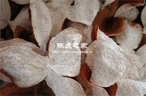 剛曬干的新會陳皮泡水喝行嗎