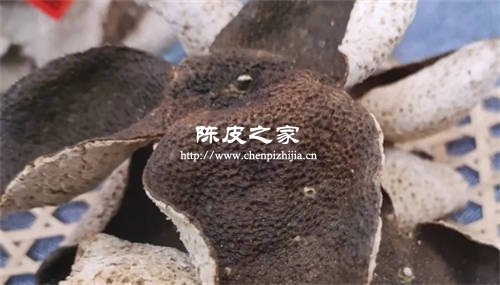工藝陳皮和干倉陳皮怎么區別
