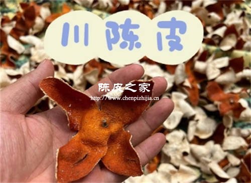 川陳皮和廣陳皮哪個(gè)藥效好