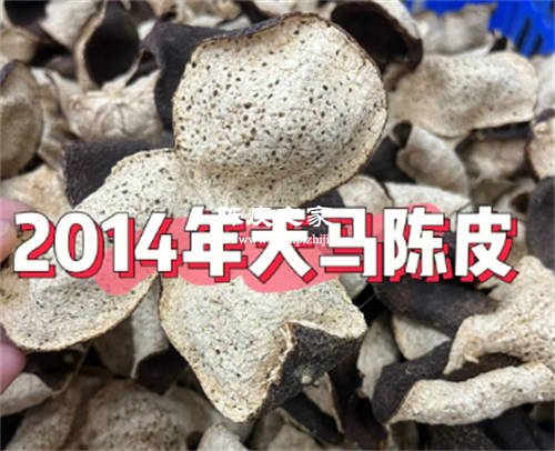 梅江陳皮和天馬陳皮哪個好