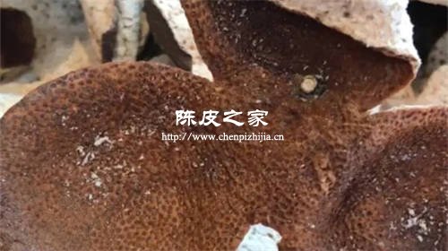 陳皮表面有白點是發霉還是白霜