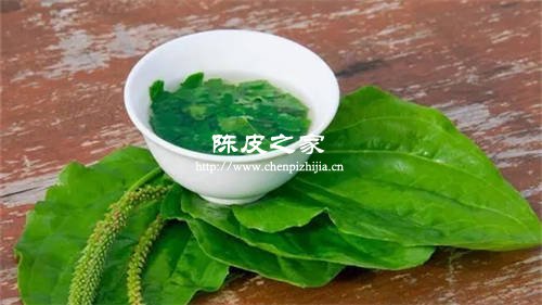 車前草與陳皮一起的功效與作用