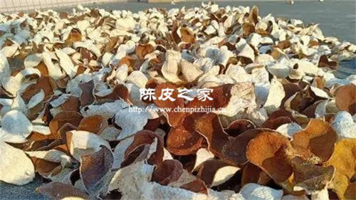 新會陳皮能去異味嗎