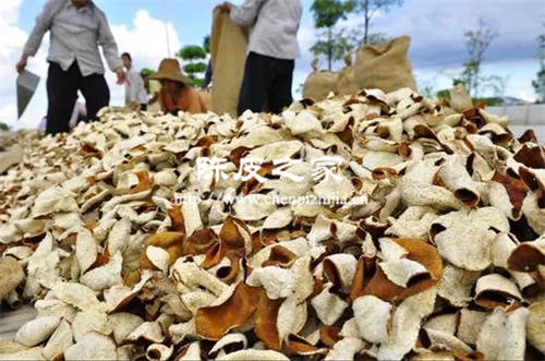 陳皮木香的功效是什么