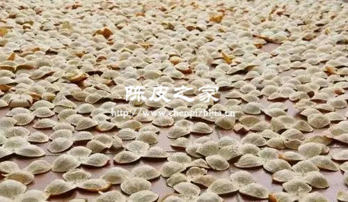 陳皮干貝蜜棗水功效與作用