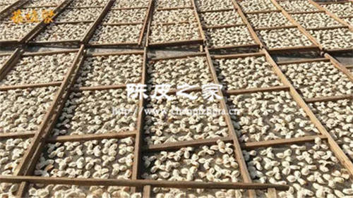 新會陳皮兒童能喝嗎