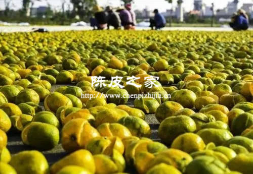 3年陳化的陳皮絲可以泡茶嗎