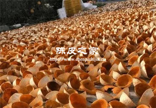 新會陳皮用的是橘子皮還是橙子皮