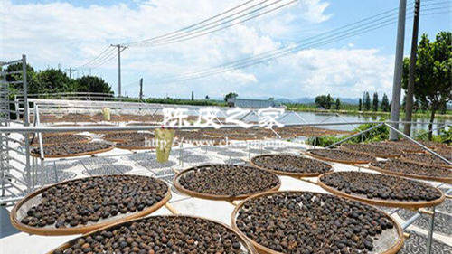 小青柑的正確存放方法