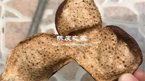 陳皮背面有密密麻麻的黑點怎么回事