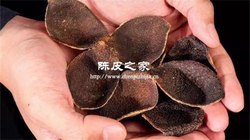 自己曬干的橘子皮是陳皮嗎