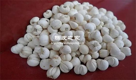 陳皮和川貝能一起泡茶喝嗎