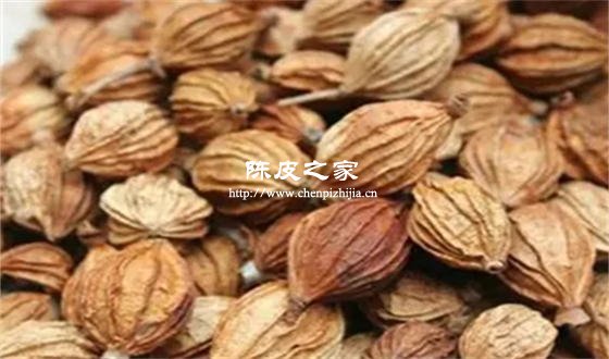 香砂仁和陳皮一起泡水喝嗎