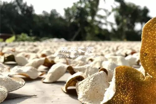 新鮮陳皮曬過一次之后還需要曬太陽嗎