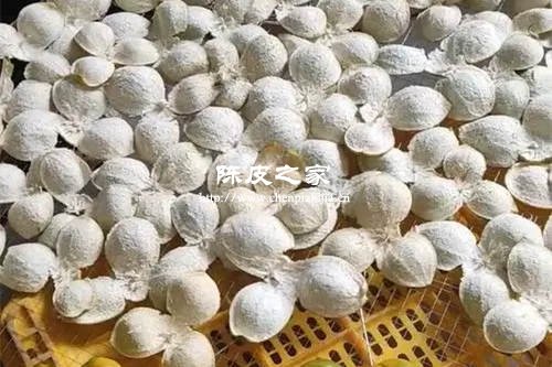 陳皮冬天一直放在外邊曬太陽好不好