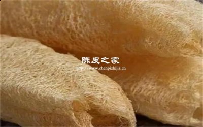 絲瓜絡和陳皮泡茶可不可以