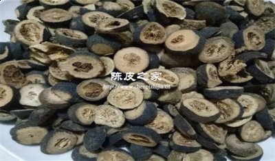 枳實白術陳皮一起泡水喝嗎