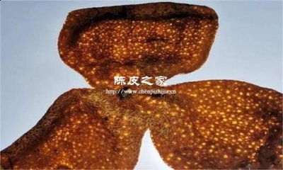 15年新會陳皮不透光正常嗎