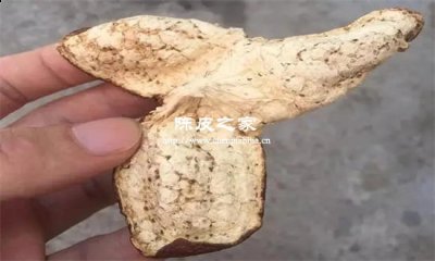 陳皮和梔子可以一起泡水喝嗎