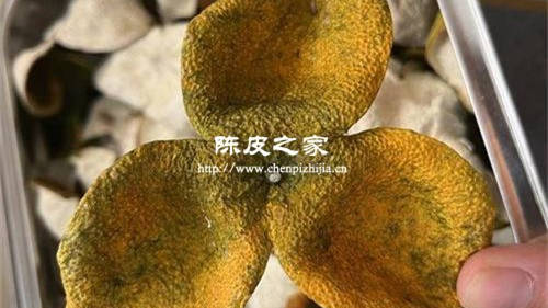 陳皮二紅大紅冬后皮哪個比較好