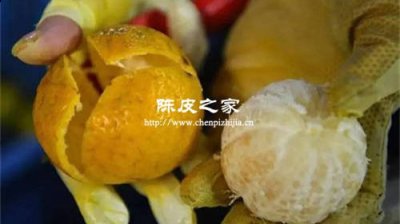 藥材里的陳皮原料是橘子皮嗎