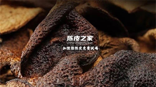 陳皮能與六堡茶一起煮茶喝嗎