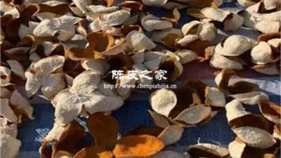 陳皮砂仁一起用的功效與作用