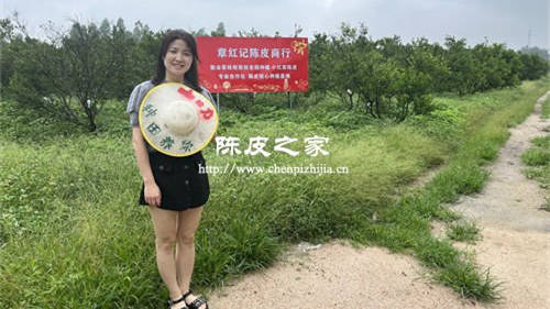 小紅家陳皮放了兩年還能喝嗎