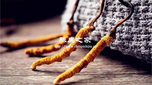 陳皮和冬蟲夏草能一起泡水喝嗎