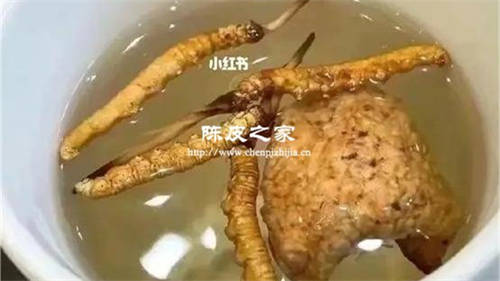 蟲草靈芝石斛花旗參陳皮可以一起煲嗎