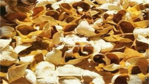 存放陳皮不生蟲用什么辦法