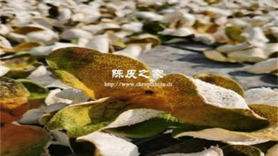 二紅皮和大紅皮哪個(gè)藥效好