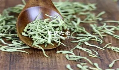 金銀花和陳皮泡茶喝的功效