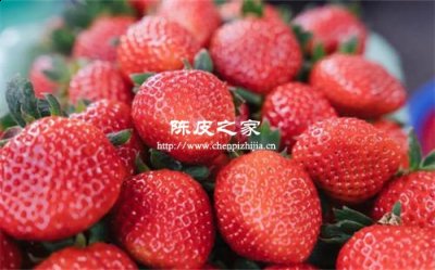 草莓梨陳皮可以一起煮水嗎