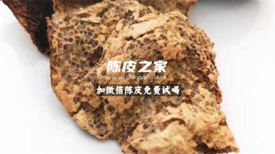 新會(huì)陳皮為什么會(huì)生蟲