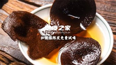 新會陳皮泡著喝還是煮著喝