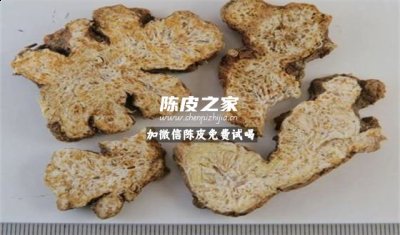 蒼術能和陳皮一起做香料嗎