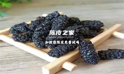 桑葚能和陳皮一起泡水喝嗎？一文詳細(xì)告訴你